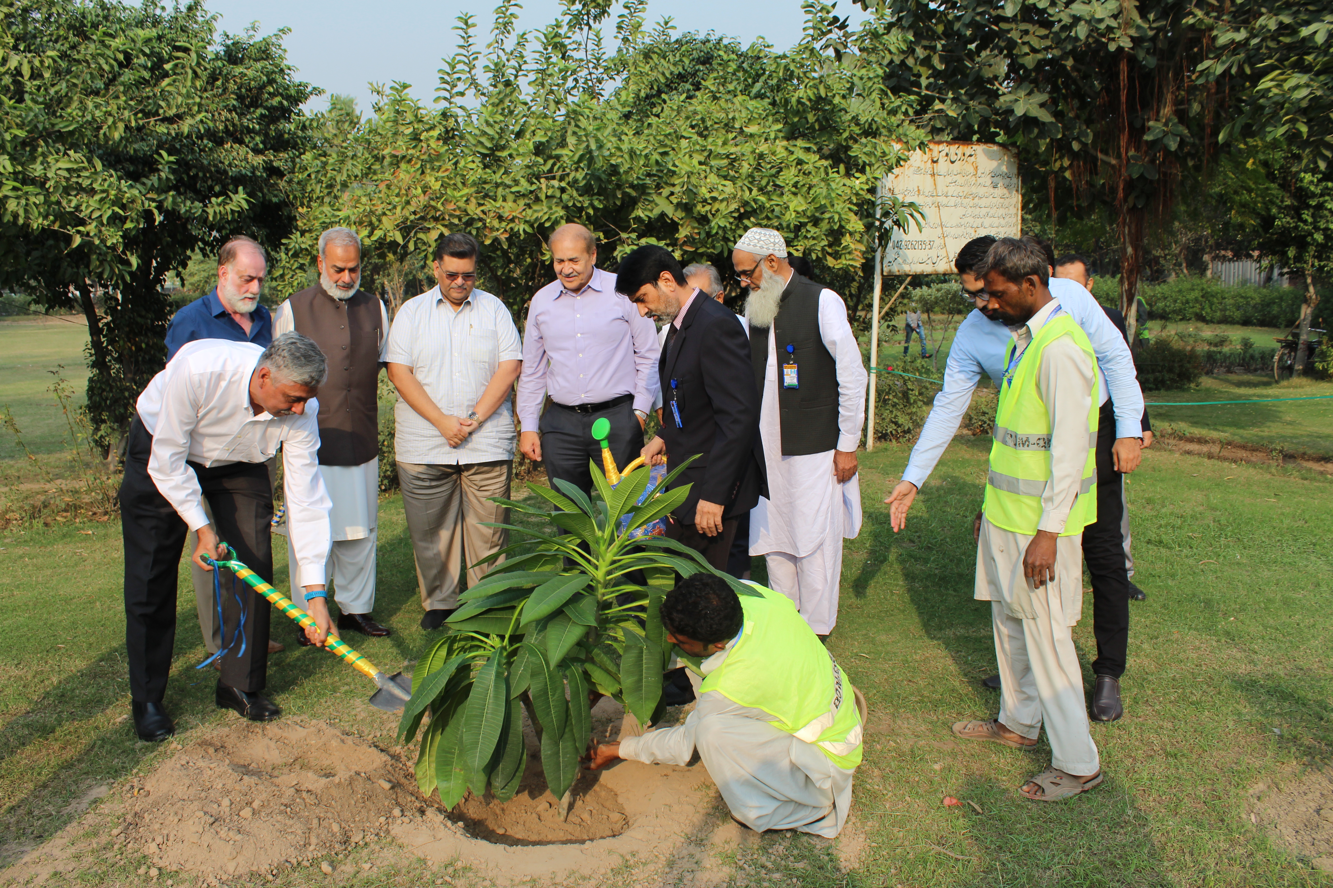 Plantation Pic